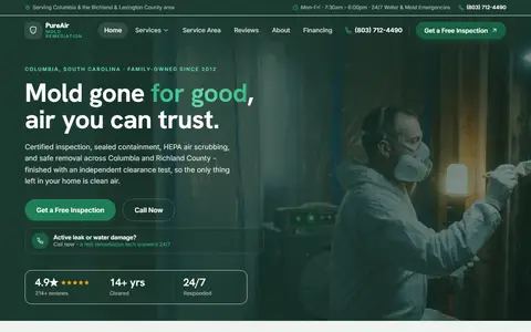 Mold Remediation website example - PureAir Mold Remediation demo site, home page