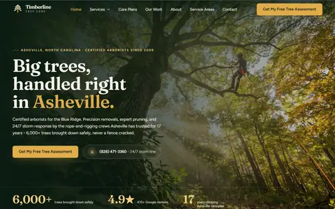 Tree Service / Arborist website example - Timberline Tree Care demo site, home page