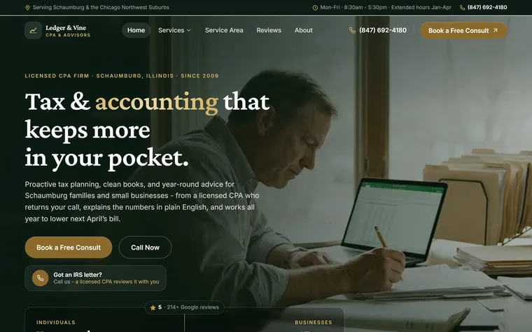 Accountant website example - Ledger & Vine CPA home page