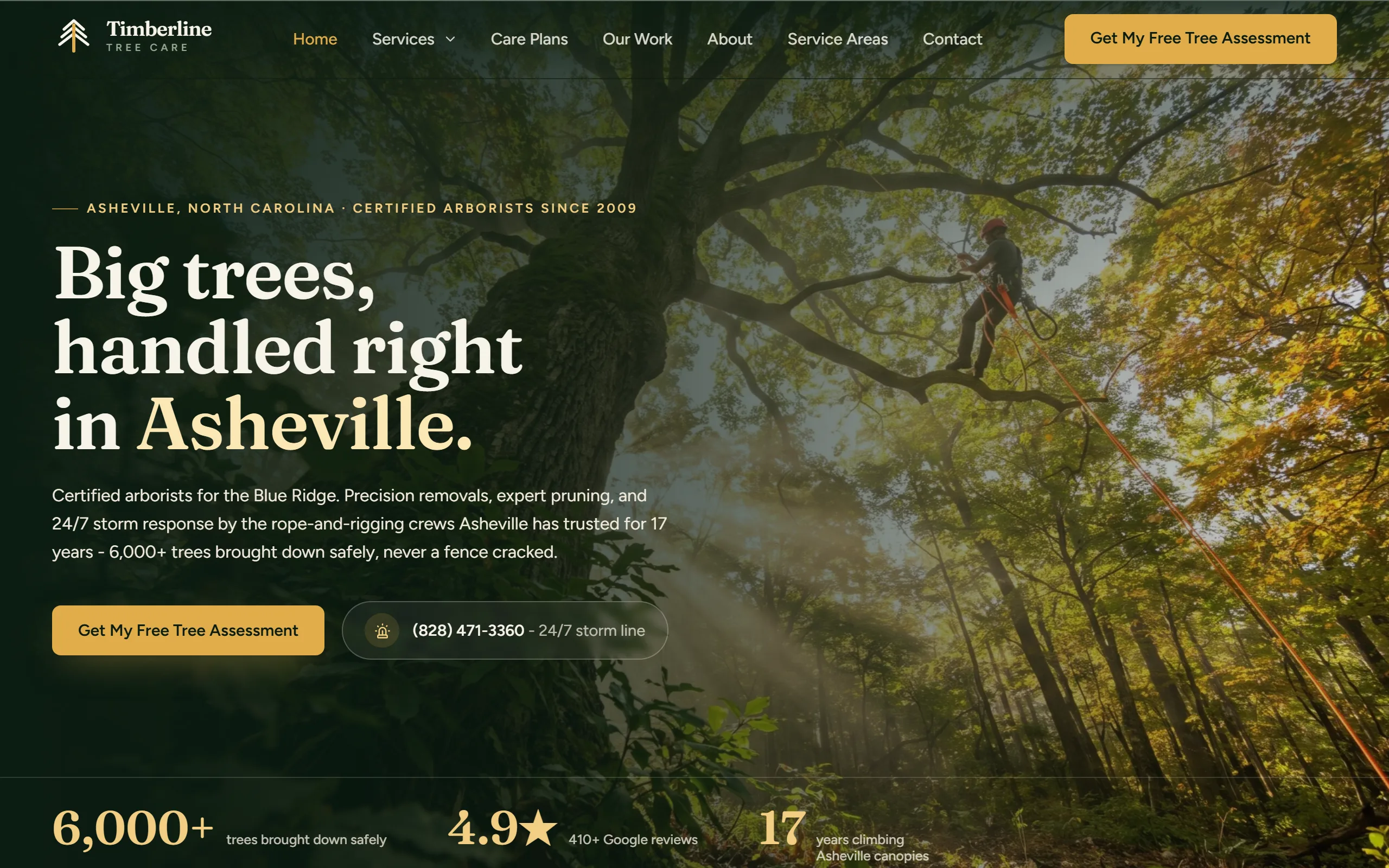 Tree Service / Arborist website example - Timberline Tree Care home page